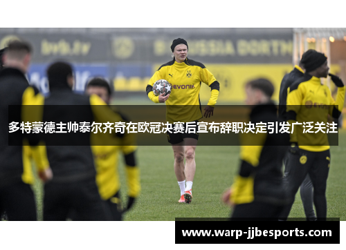 多特蒙德主帅泰尔齐奇在欧冠决赛后宣布辞职决定引发广泛关注